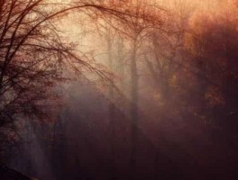 大理古镇到洱海怎么走，大理古镇距离洱海远么