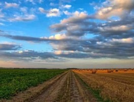 深圳到惠州怎么走，深圳到惠州怎么走高速