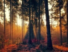 霸州公交路线，霸州公交车时间表2020年