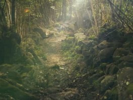 桃峰陵园怎么走，桃峰陵园怎么走地铁