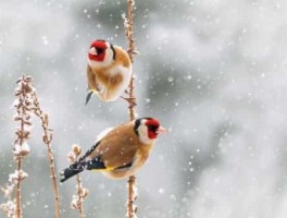 昆明昆明旅游，昆明昆明旅游攻略自由行