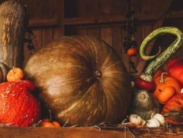 915路公交车路线图，公交车915路公交车路线图