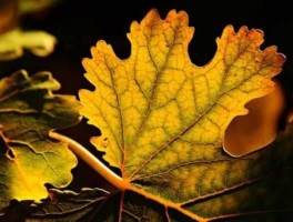 铁路线路民警，铁路线路民警工作辛苦吗