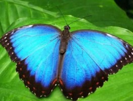 万达旅游最新资讯(本周最新旅游新闻)