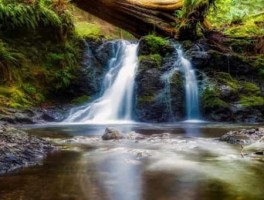 云南美食旅游论文(有谁帮忙弄一篇关于云南小吃的毕业论文)