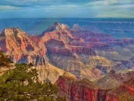 横滨美食攻略旅游线路图(去日本旅游都需要带哪些东西)