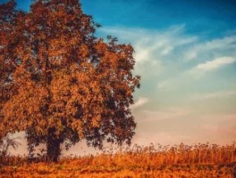 瑜伽旅游，瑜伽旅游产品体验