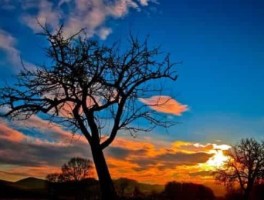 连云港三日游旅游美食(连云港三日游攻略)