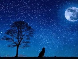 南七怎么走，南七线改成什么线