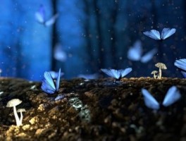 宜家公交车路线，宜家几路公交车