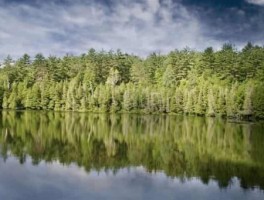 成安怎么走，成安到高铁站定制公交时间表