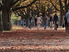融水元宝山怎么走，融水元宝山旅游景点在哪里