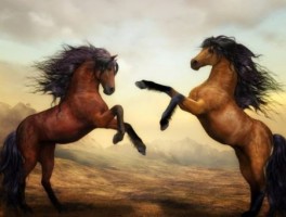 花莲到阿里山怎么走，莲花村到莲花山怎么走