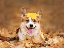 从沈阳站到中街怎么走，从沈阳站到沈阳中街怎么走