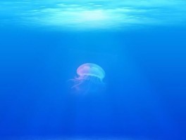 济南117路公交车路线，济南117路公交车路线图坐20在哪儿下车