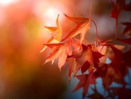 春节北京旅游，春节北京旅游人多吗