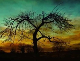 太原到碛口古镇怎么走，太原到碛口古镇怎么走最快