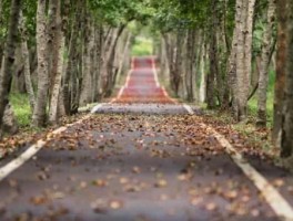 合肥108路公交车路线，合肥108路公交车路线路线图
