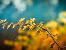 狼牙山怎么走，狼牙山怎么去