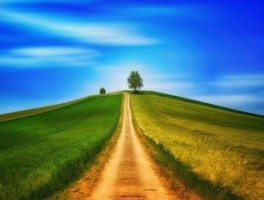 十七路公交车路线，洛阳十七路公交车路线