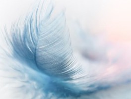 上海虹桥医院怎么走，上海虹桥医院地址