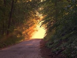 南昌169公交车路线，南昌169公交车路线路线查询