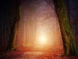 787路线，787路线图