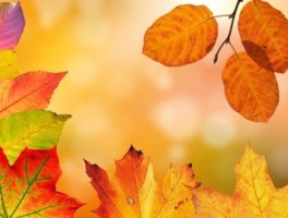 青岩古镇路线，青岩古镇路线图