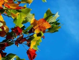 郑州附近免费旅游景点推荐自驾，二日游旅游景点推荐