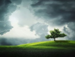 容县旅游美食攻略(容县县城必吃美食)