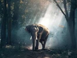 西安市旅游美食地址在哪里(西安好吃的美食有哪些)