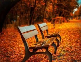 上海旅游公司，上海旅游公司排名前十