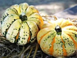 桂31路线，桂31公交线路