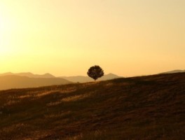 775路线，775路线图