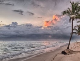 苹果路线记录，iphone怎么看路线记录