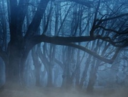 无锡站到灵山大佛怎么走，无锡站到灵山大佛多远打车多少钱