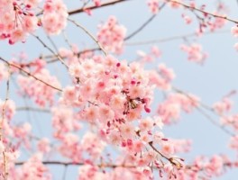 扬州免费旅游景点推荐一日游攻略，扬州周边古镇一日游