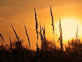 江津太和梯田怎么走，太和到江津客车时间点