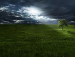 狮脑山路线，狮脑山地理位置