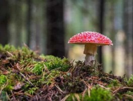 郑州一天短期旅游景点推荐，郑州市好玩的地方适合一日游