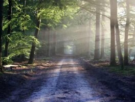 从天津站到塘沽怎么走，从天津站到塘沽坐地铁怎么坐