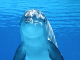 济南站到济南西站怎么走，济南站到济南西站怎么走最方便