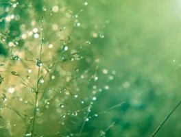 石家庄516路公交车路线，石家庄516路公交车路线查询