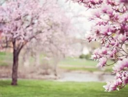 喀什公交车路线，喀什公交车路线路线图