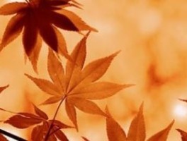 安阳到开封高速怎么走，安阳到开封高速费