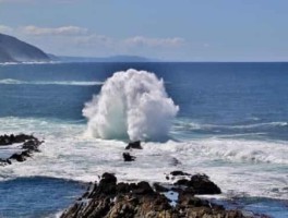 武大到东湖怎么走，武汉大学到武汉东湖学院距离多远