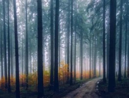 海地旅游，海地旅游要注意什么