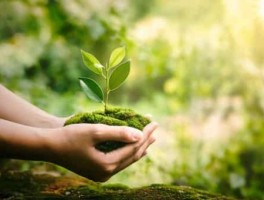 中山到珠海机场怎么走，从中山出发到珠海机场在哪里坐机场大巴