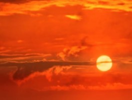 旅游资讯今天最新头条文章(头条文章)