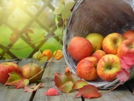 去景山公园怎么走，去景山公园怎么走坐公交车